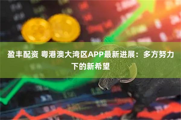 盈丰配资 粤港澳大湾区APP最新进展：多方努力下的新希望