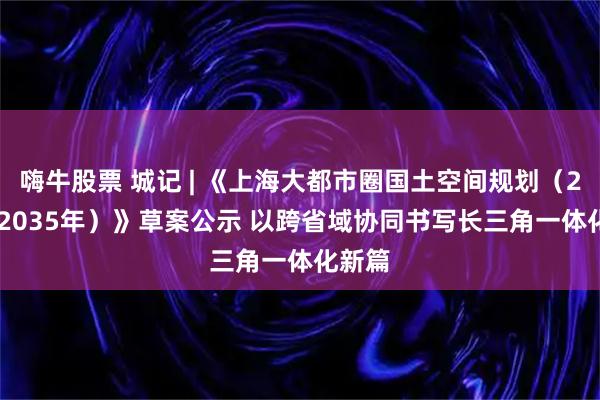嗨牛股票 城记 | 《上海大都市圈国土空间规划（2025-2035年）》草案公示 以跨省域协同书写长三角一体化新篇
