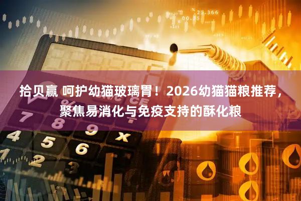 拾贝赢 呵护幼猫玻璃胃！2026幼猫猫粮推荐，聚焦易消化与免疫支持的酥化粮