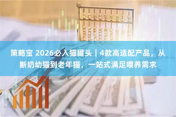 策略宝 2026必入猫罐头|4款高适配产品,从断奶幼猫到老年猫,一站式满足喂养需求