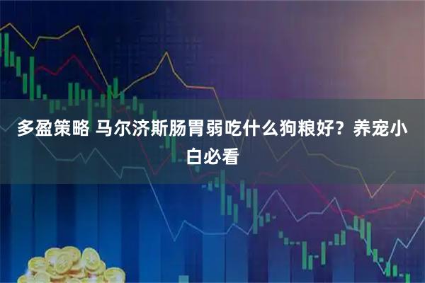 多盈策略 马尔济斯肠胃弱吃什么狗粮好？养宠小白必看